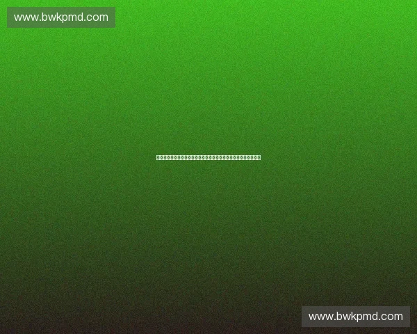 城市马拉松激情开跑点燃全民健身与城市活力新热潮迈向高质量发展