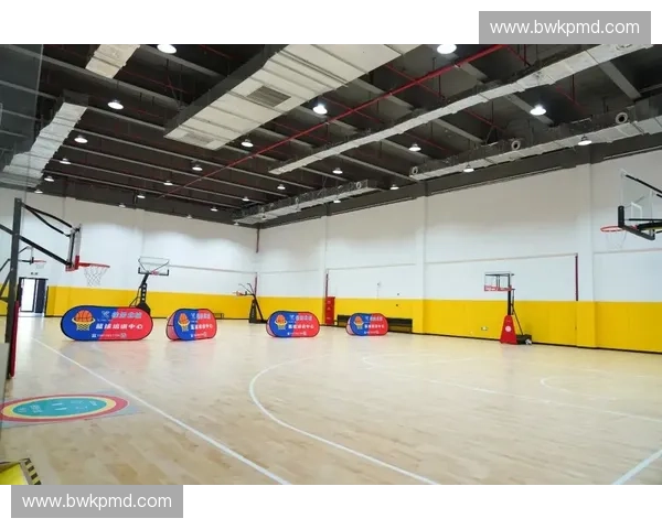 球类稳定架在体育器材收纳与安全固定中的创新设计与应用探索